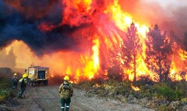 Drama en la Patagonia: el fuego ya afectó 45 mil hectáreas y hay cuatro parques en alerta