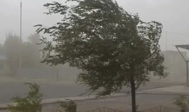 Viento sur intenso y leve descenso de la temperatura en San Juan