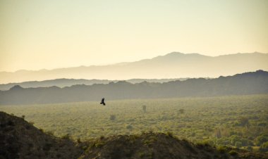 Áreas protegidas: claves para visitarlas y cuidarlas responsablemente