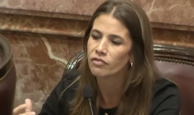 Por que Celeste Giménez votó en contra la Ley de Glaciares