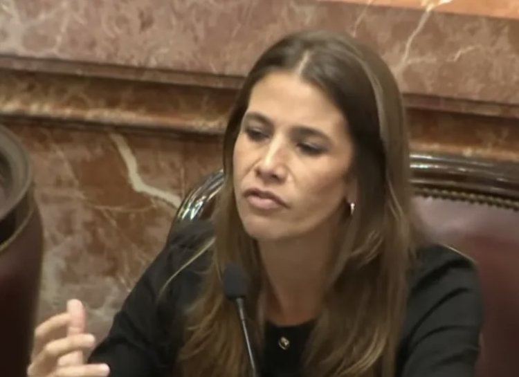 Por que Celeste Giménez votó en contra la Ley de Glaciares