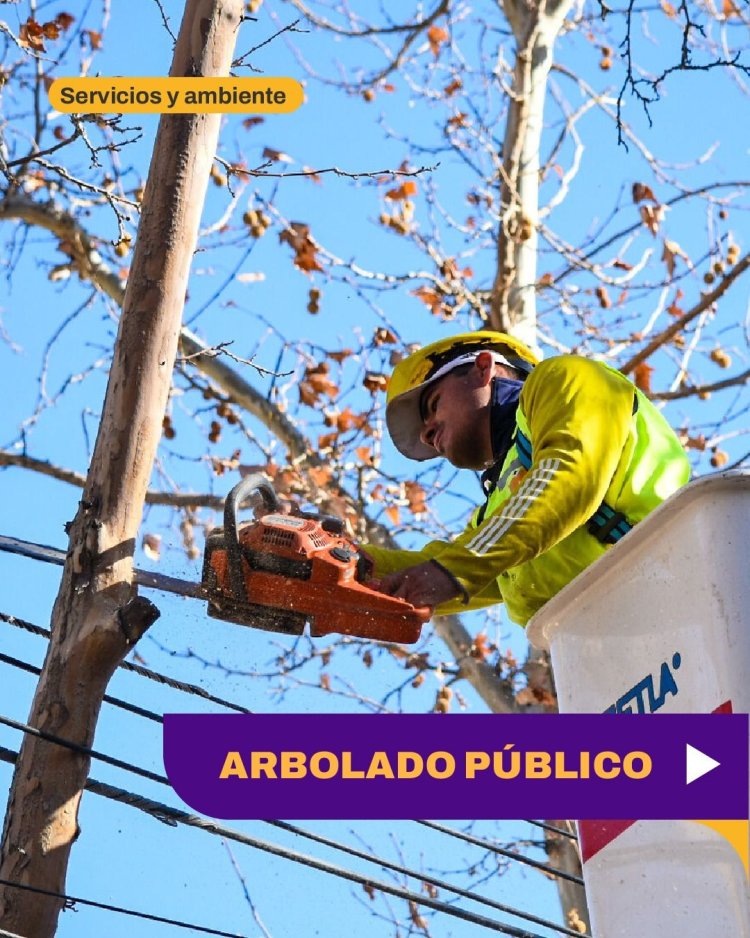 Nuevo operativo de arbolado público en Parque Universitario y distintos sectores de Capital