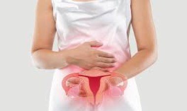 Día Mundial de la Endometriosis: no naturalizar el dolor también es cuidar la fertilidad