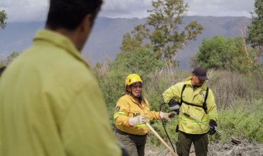 Ambiente lanza un nuevo programa de capacitación sobre prevención de incendios forestales