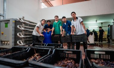 La escuela de Enología retomó la producción de vino en su histórica bodega