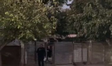 En Caucete falleció un hombre al caer de un árbol