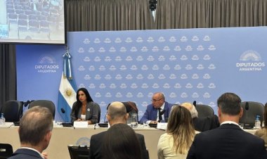 Audiencia pública por la reforma de la ley de Glaciares: segunda jornada con 200 oradores virtuales