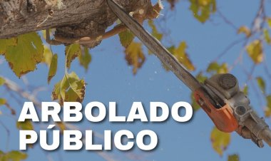 Cronograma de tareas del 30 de marzo al 5 de abril