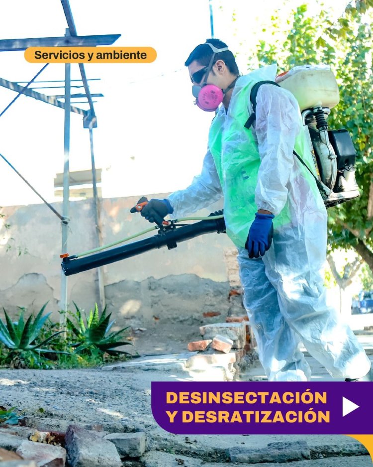 Operativo integral de desinsectación y desratización en distintos sectores de Capital