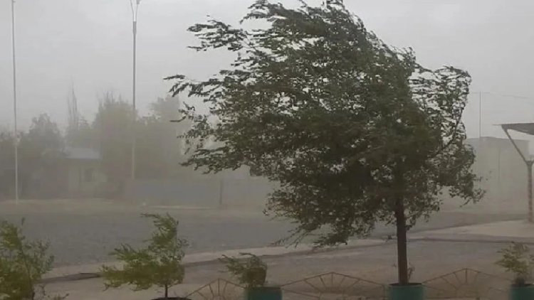 Alerta amarilla en San Juan por la llegada de fuerte viento sur