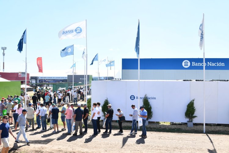 El Banco Nación lanzó créditos a tasa 0 en dólares para la compra de maquinaria agrícola