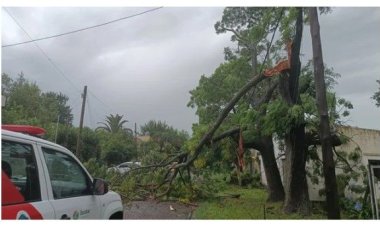 Fuerte temporal en el AMBA: inundaciones, destrozos y miles de usuarios sin luz