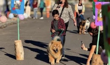 9 de Julio celebrará el Día del Animal con un desfile de mascotas en Plaza Independencia
