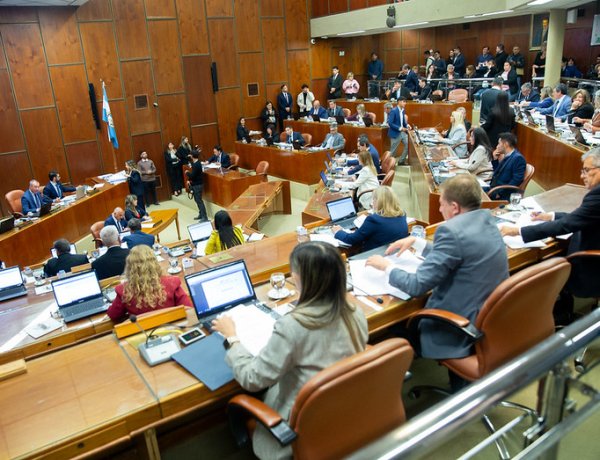 Instituyeron el Día Provincial de la Lucha contra el Bullying