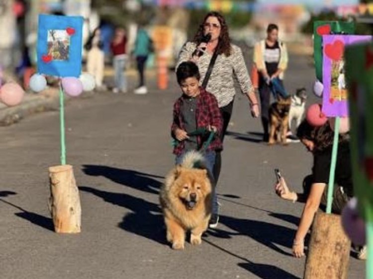 9 de Julio celebrará el Día del Animal con un desfile de mascotas en Plaza Independencia