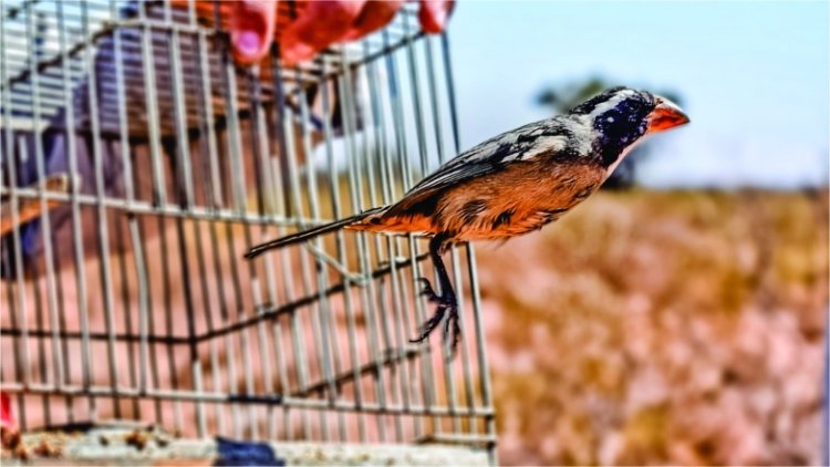 En San Juan proteger a los animales también es cuidar la vida y el ambiente