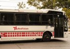 RedTulum suma frecuencias en Calingasta