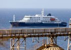Tres muertos por hantavirus en un crucero que partió desde Usuahia: cómo se contagiaron