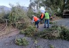Se activó el Comité de Operaciones de Emergencia Departamental de Pocito, para evaluar y brindar solución a los daños ocasionados por el fuerte viento
