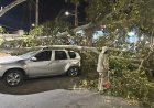 La Ciudad de San Juan despliega operativo de emergencia tras el intenso viento Zonda