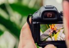 Rawson impulsa la creatividad con nuevos talleres gratuitos, de cine y fotografía