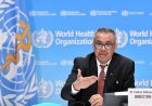 Hantavirus: la OMS afirma que podrían surgir más casos