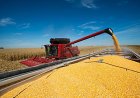 Productores de maíz piden acelerar la baja de las retenciones y que sea por ley