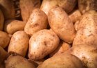 Feria y Mercado de Abasto: buenos precios y la mejor calidad