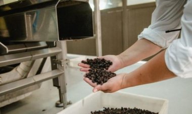 Las exportaciones sanjuaninas de pasas crecieron un 50% en dólares