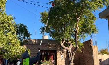 Rivadavia se prepara para la temporada de poda: faltan 11 días para su inicio