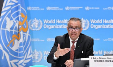 Hantavirus: la OMS afirma que podrían surgir más casos