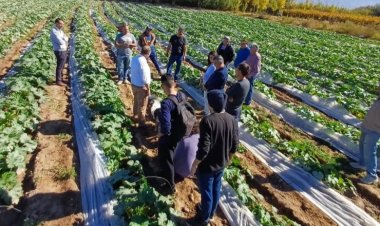 Producción continúa impulsando acciones para acompañar a los horticultores