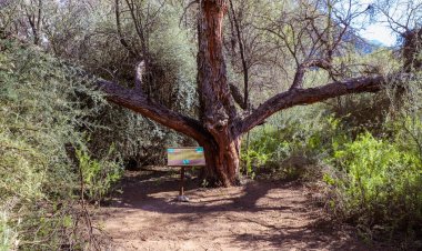 La Municipalidad de Jáchal participó de la presentación del proyecto ecoturístico “Parque Aventura Cauquenes”