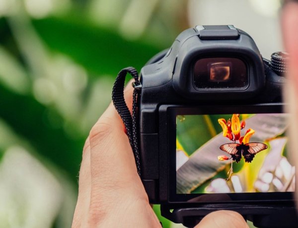 Rawson impulsa la creatividad con nuevos talleres gratuitos, de cine y fotografía
