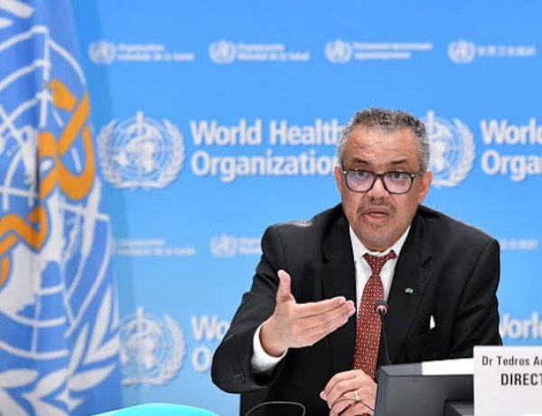 Hantavirus: la OMS afirma que podrían surgir más casos