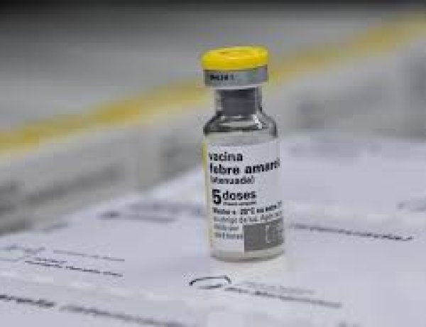 Fiebre amarilla: ante el brote detectado en Bolivia, realizan una vacunación focalizada en Salta