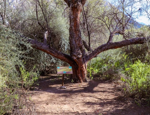 La Municipalidad de Jáchal participó de la presentación del proyecto ecoturístico “Parque Aventura Cauquenes”