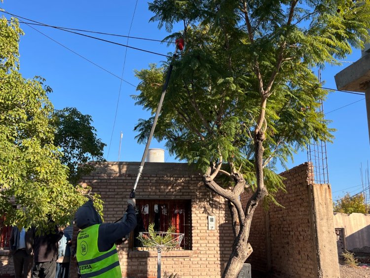 Rivadavia se prepara para la temporada de poda: faltan 11 días para su inicio