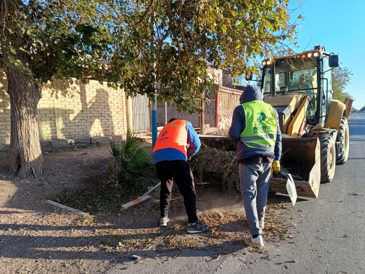 La Ciudad de San Juan despliega operativo de emergencia tras el intenso viento Zonda