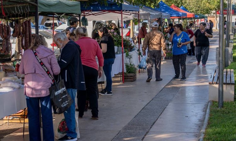 La Plaza de la Libertad será escenario de la Feria Agroproductiva