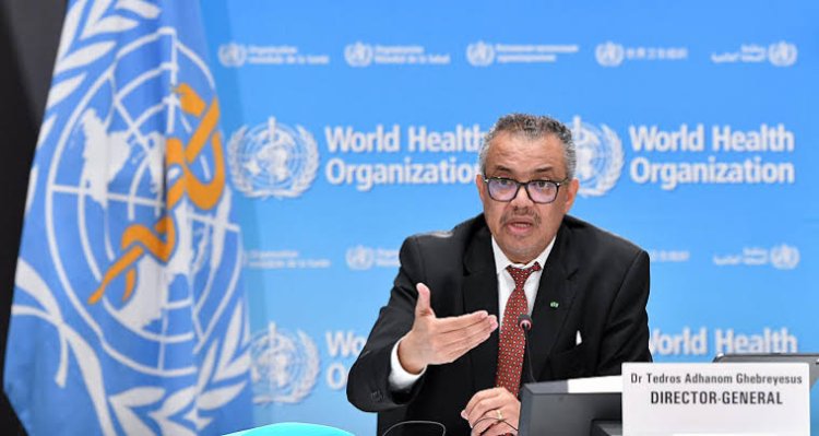 Hantavirus: la OMS afirma que podrían surgir más casos