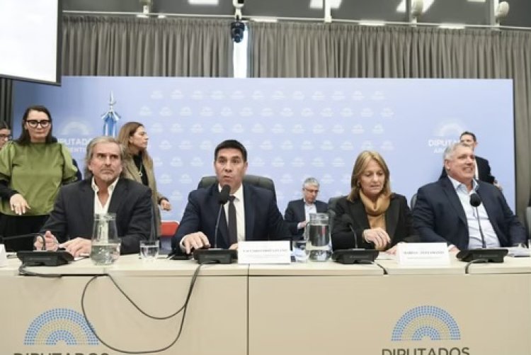 El oficialismo logró dictamen de mayoría al nuevo régimen de zona fría