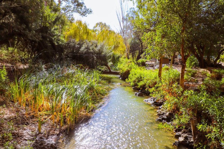 La Municipalidad de Jáchal participó de la presentación del proyecto ecoturístico “Parque Aventura Cauquenes”