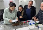 San Juan importó plantas de vid para diversificar la oferta vitícola