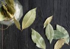 Por qué hay que poner hojas de laurel detrás del inodoro: para qué sirve