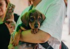Rivadavia recibirá un operativo integral de tenencia responsable de mascotas