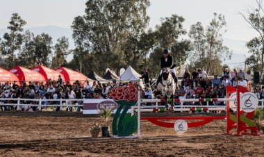 Milei aumentó el giro de transferencias no automáticas a las provincias: el detalle