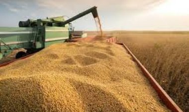 El Gobierno oficializó el esquema de reducción gradual de las retenciones para el agro