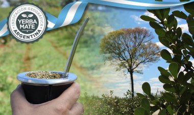 Argentina organiza el primer Mundial de la Yerba Mate