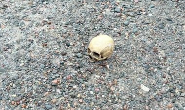 Encontraron un cráneo humano en Punta Negra: qué se sabe